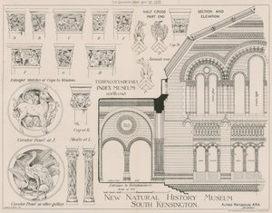 Terracotta details from the new Natural History Museum, South Kensington by English School