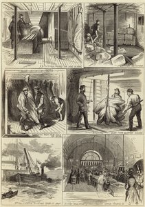 The American Fresh Meat Trade of Glasgow and London