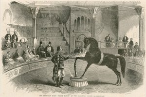 The American horse Black Eagle at the Alhambra Palace (Alhambra Theatre), Leicester Square, London