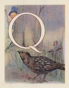 The Animal ABC: Letter Q, Quail by English School