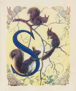 The Animal ABC: Letter S, Squirrel