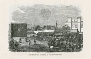 The Belvidere Gardens by English School