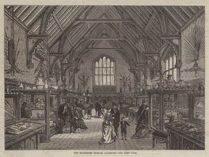 The Blackmore Museum, Salisbury by English School