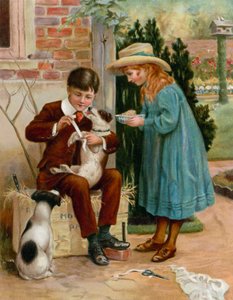 The Boy Doctor
