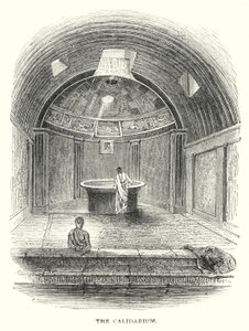 The Calidarium by English School