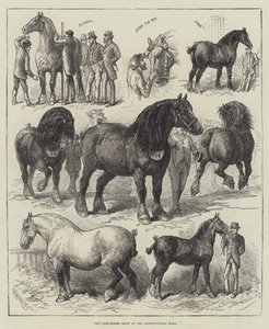 The Cart-Horse Show at the Agricultural Hall by English School