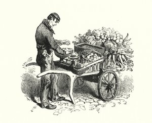 The Costermonger by English School