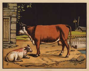 The Cow by English School