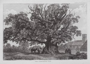 The Cowthope Oak by English School