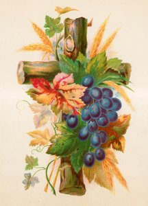 The Cross
