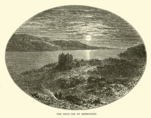 The Dead Sea by Moonlight