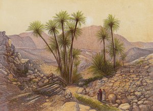 The Desert of Sinai by English School