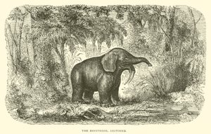 The Dinothere, Restored by English School