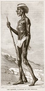 The Djangal, a Savage of the Sirgouja, illustration from Cassell