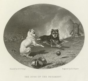 The Dogs of the Regiment by English School