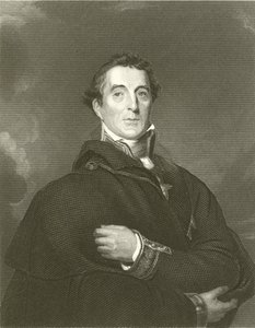 The Duke of Wellington by English School
