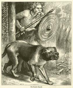 The English Mastiff by English School