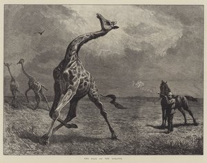 The Fall of the Giraffe by English School