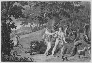 The Forbidden Fruit, Genesis, III, 6