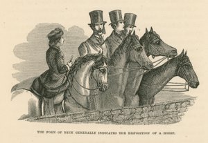 The Form of Neck Generally Indicates the Disposition of a Horse by English School