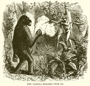 The Gorilla Marches upon Us