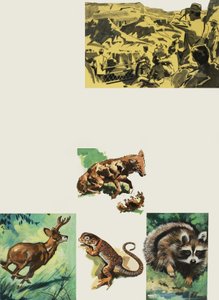 The Grand Canyon by English School