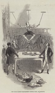 The Great Dutch Equilibrist