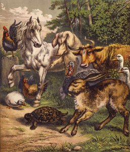 The Hare and the Tortoise by English School