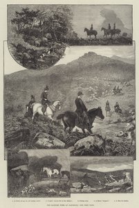 The Harrier Week on Dartmoor