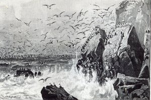 The Haunt of the Gulls, from 