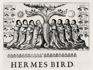 The Hermes Bird, from Theatrum Chemicum, 1652 by English School