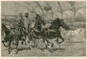 The Hippodrome at Olympia, the National Agricultural Hall, Kensington, London: The Chariot Race by English School