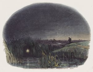 The Ignis-Fatuus, or Will-o