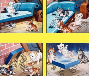 The Kitten