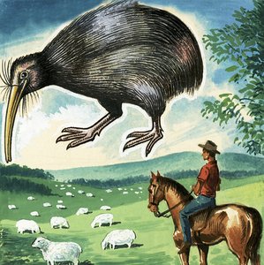 The Kiwi, Emblem of New Zealand by English School