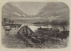The Land of Oil, Transport of Barrels on Oil Creek by English School