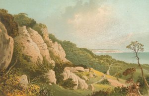 The Landslip near Ventnor--Isle of Wight by English School