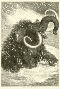 The Last of the Mammoths by English School