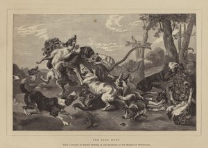 The Lion Hunt by English School