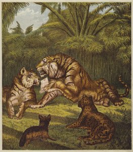 The Lion