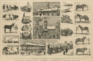 The London International Agricultural Exhibition at Kilburn, July 1879 by English School