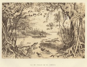 The Ma-Robert on the Zambesi by English School