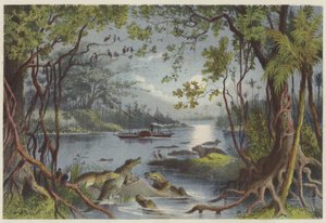 The Ma-Robert on the River Zambesi by English School