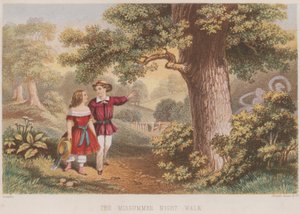 The Midsummer Night Walk