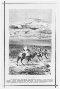 The Mirage in the Desert by English School