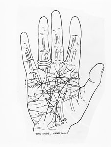 The Model Hand (Right)