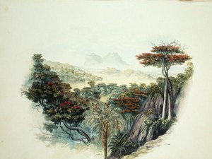 The Mountains, Ceylon