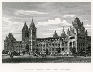 The Natural History Museum, 1881 by English School