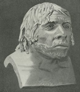 The Neanderthal Man of La Chapelle-aux-Saints by English School