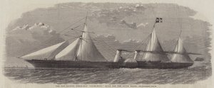 The New Clipper Steam-Ship 